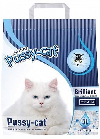  Pussy-cat Brilliant 